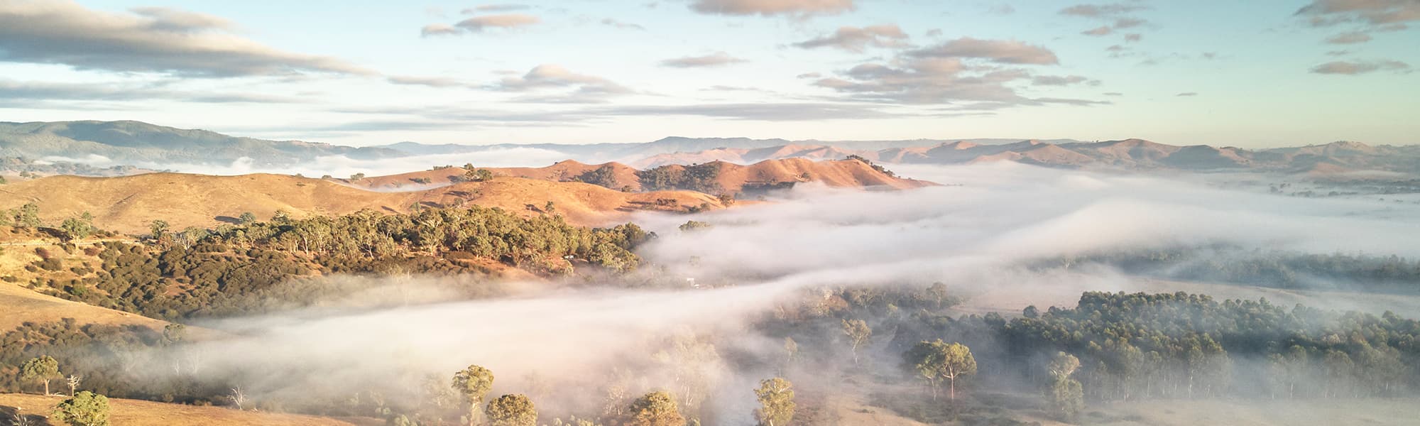 murrindindi acheron cutting lookout at sunrise